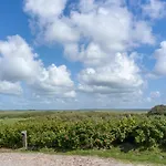 Sylt 1 公寓